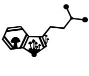 DMT Molecule: Euphoria for Nature, DMT Mushroom Scene Laser Cut Wall Art