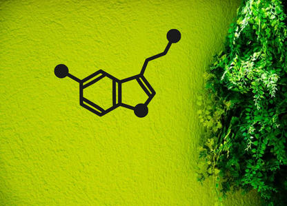 Serotonin Molecule Laser Cut Wall Art